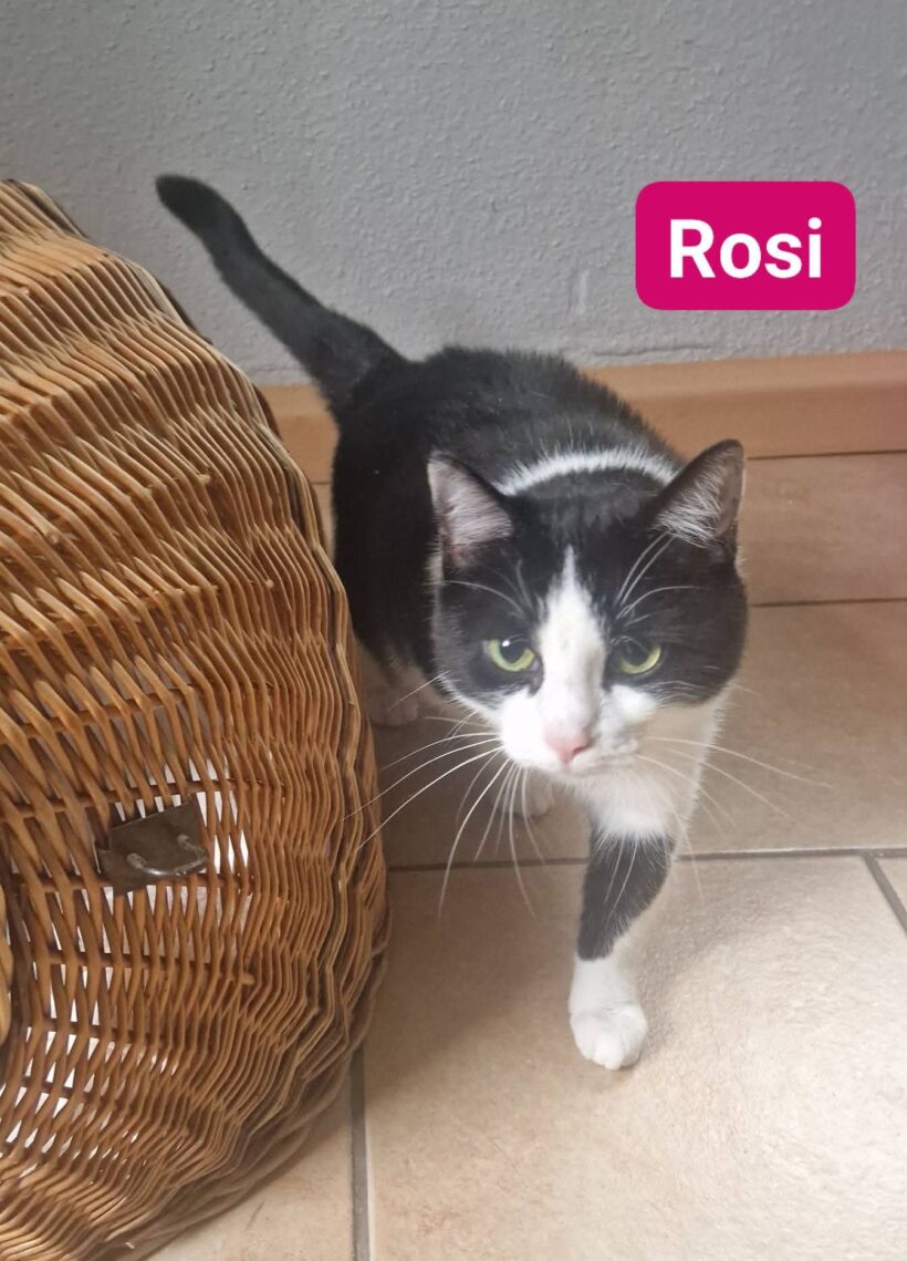 Rosi und Shira❤️ Rosi und Shira❤️