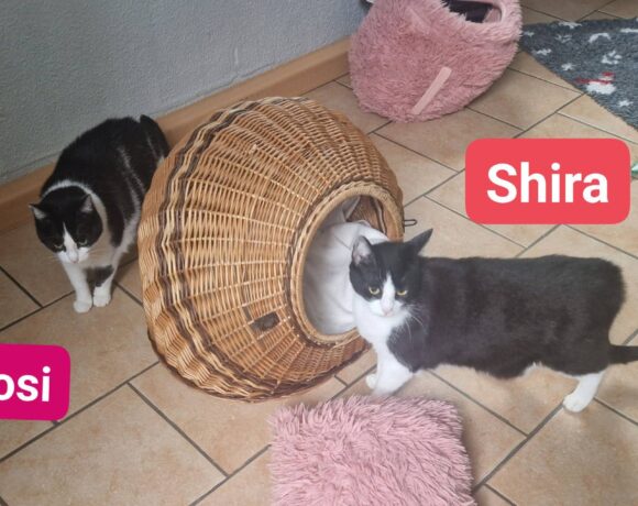 Rosi und Shira❤️