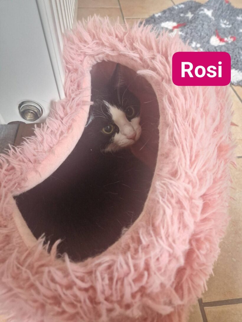 Rosi und Shira❤️ Rosi und Shira❤️