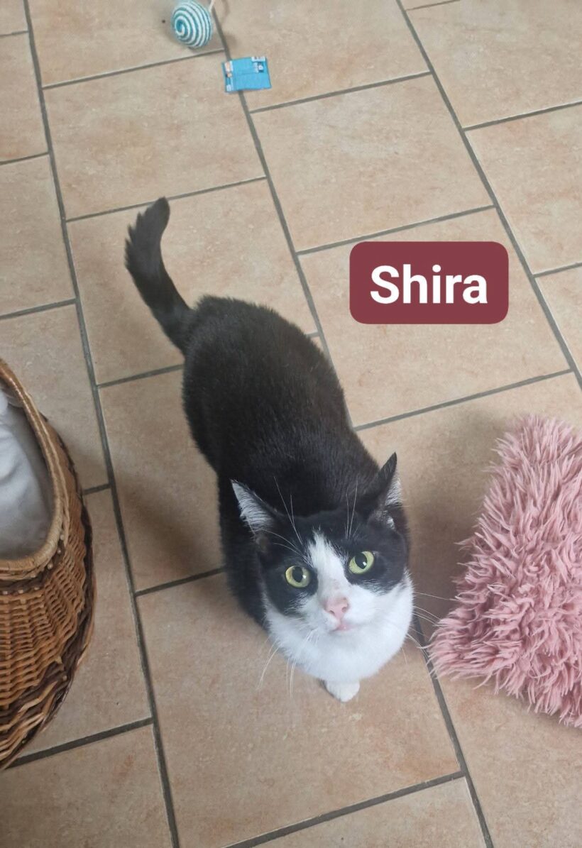 Rosi und Shira❤️ Rosi und Shira❤️