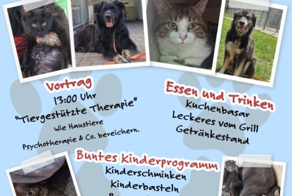 Tierheimfest ’26