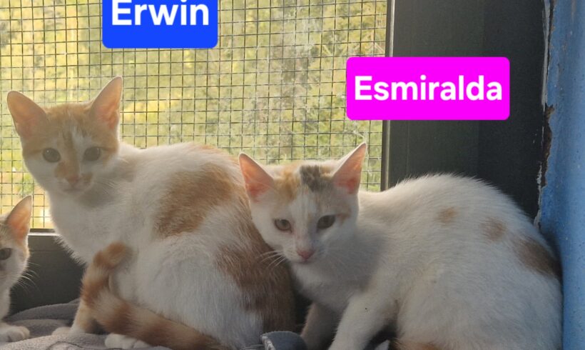 Esmiralda und Erwin ❣️
