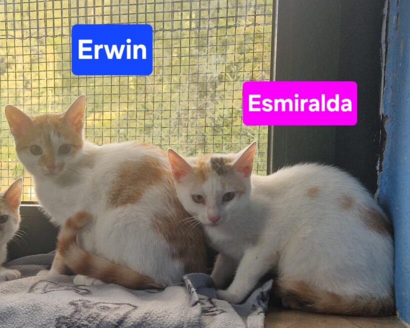 Esmiralda und Erwin ❣️