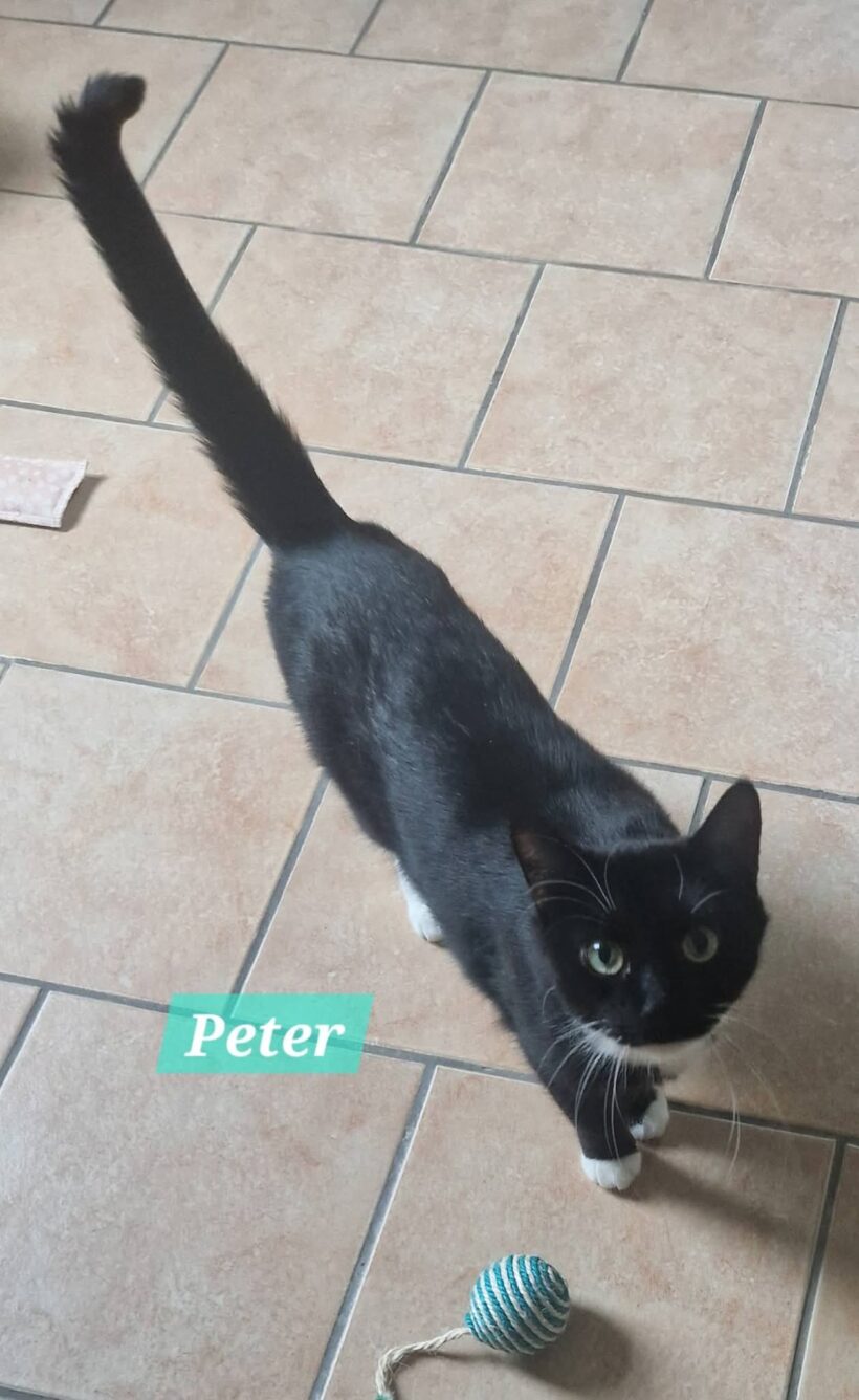 Peter❤️