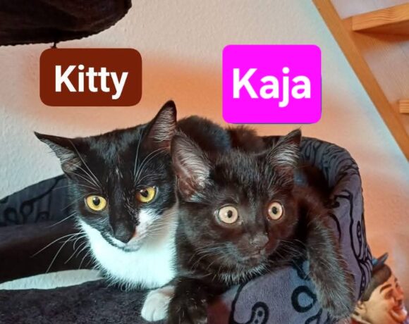 Kitty und Kaja (ab Mitte August)❤️