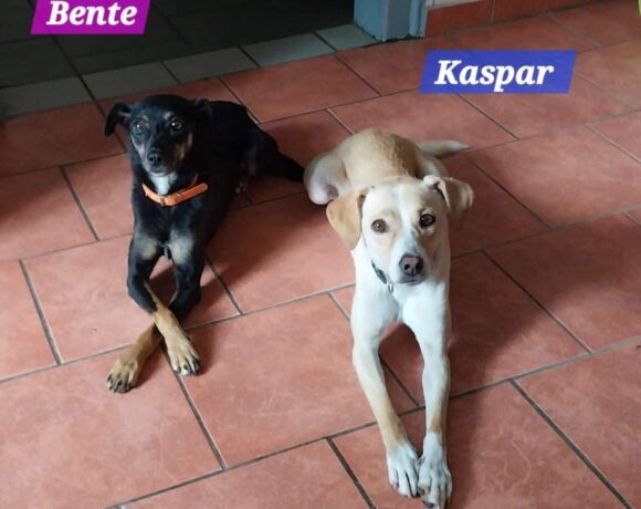 Casper und Bente❤️