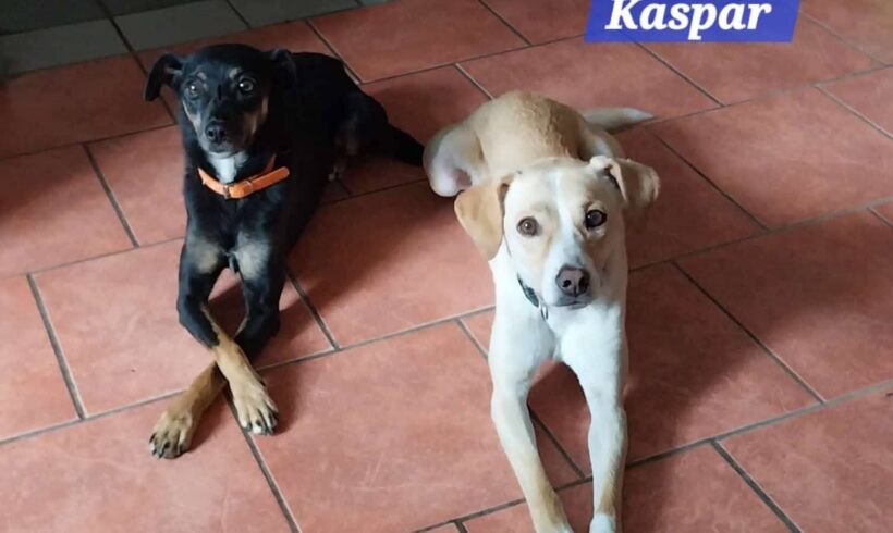 Casper und Bente❤️ Casper und Bente❤️