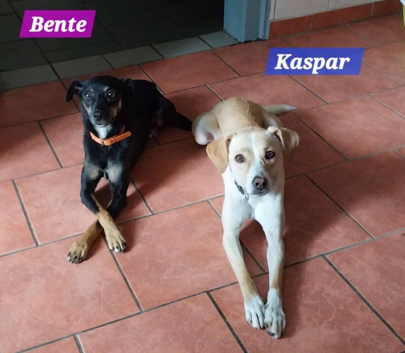 Casper und Bente❤️ Casper und Bente❤️