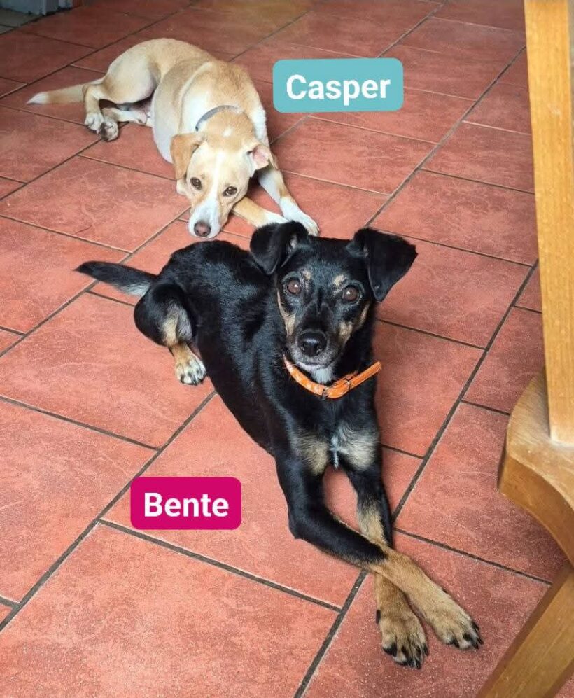 Casper und Bente❤️ Casper und Bente❤️