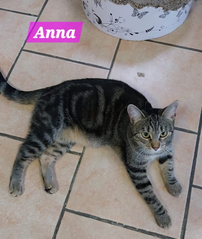 Anna und Aros❤️(reserviert) Anna und Aros❤️(reserviert)