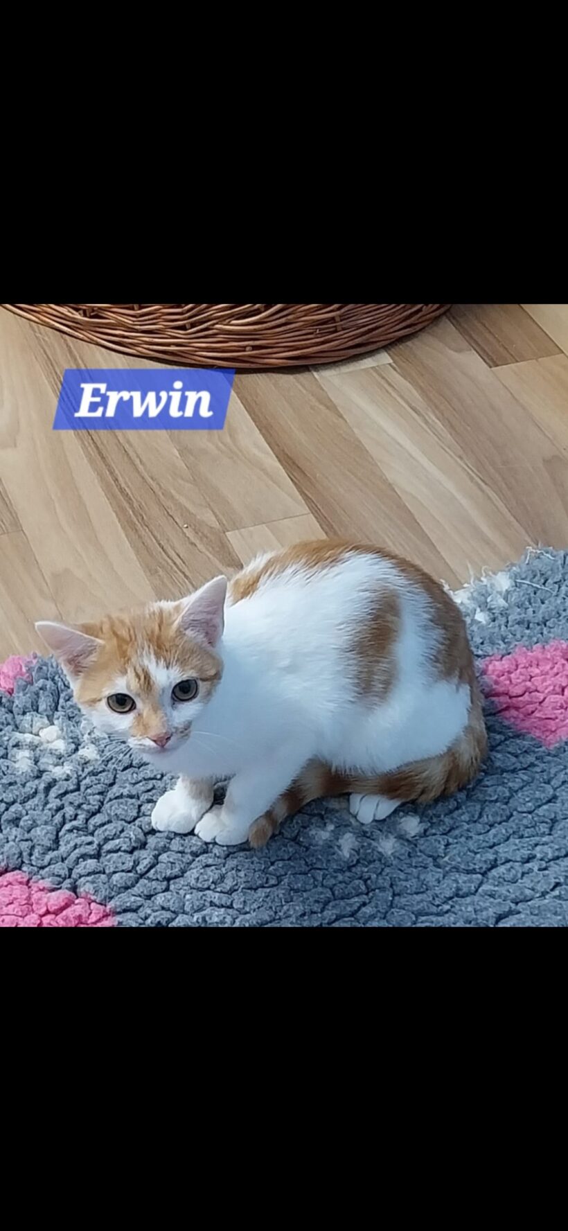 Esmiralda und Erwin ❣️