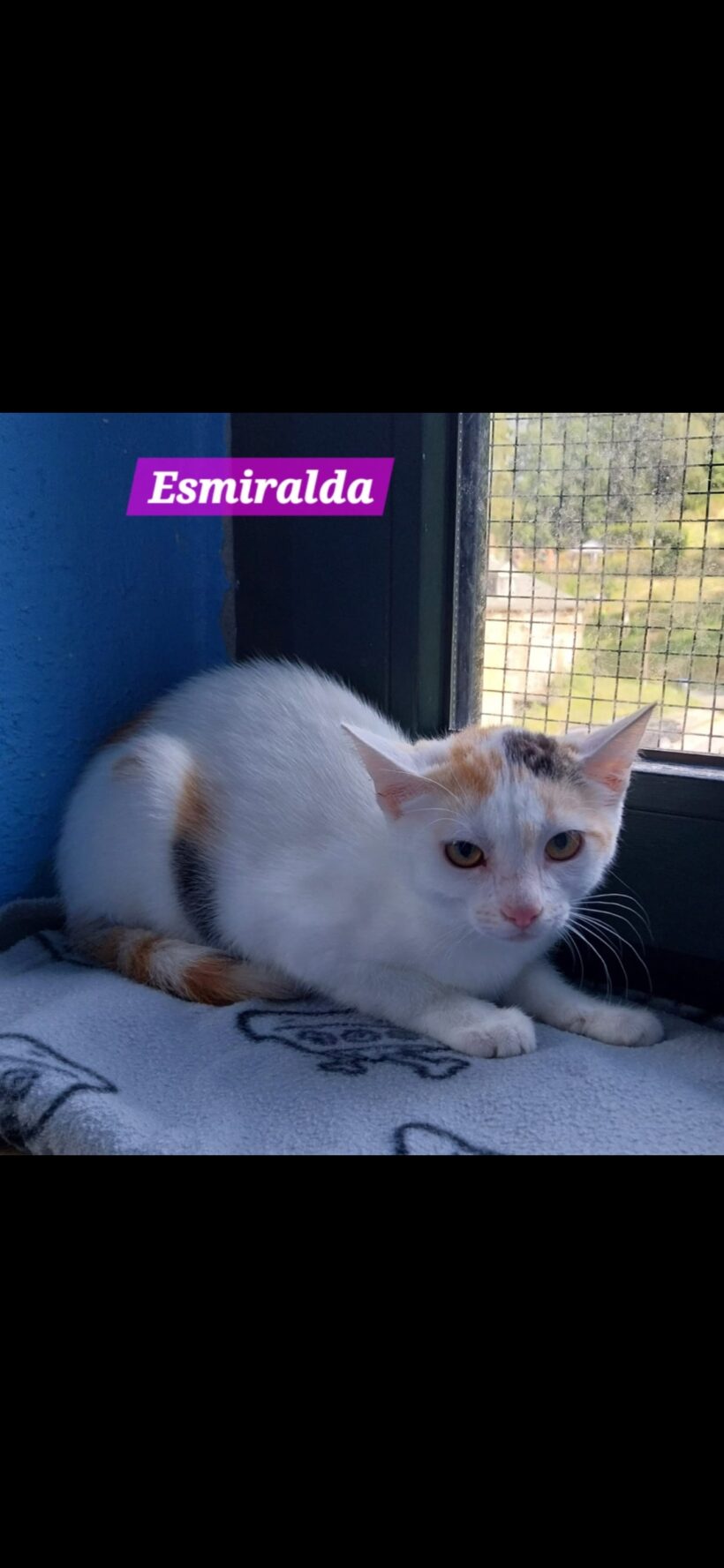 Esmiralda und Erwin ❣️