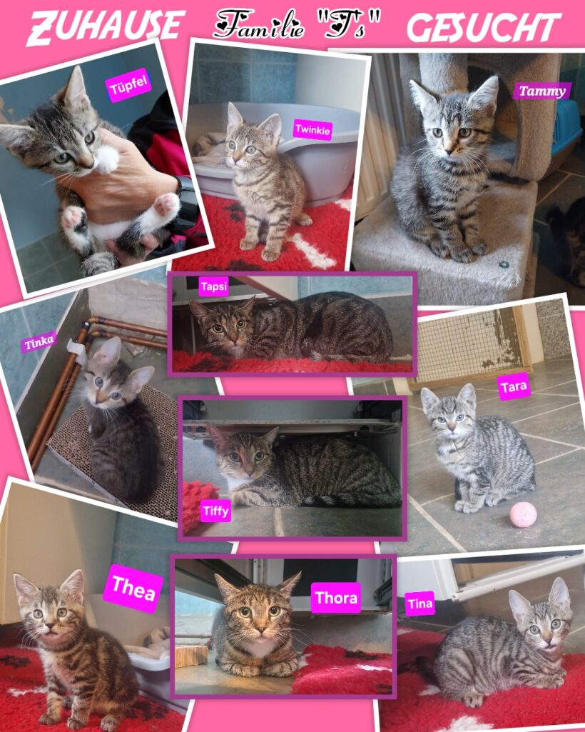 Familie „T’s“❤️ Familie „T’s“❤️