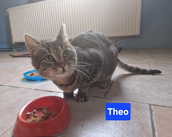 Theo