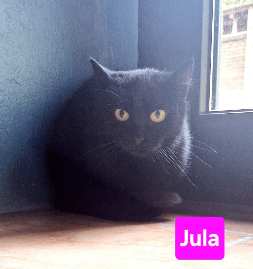 Jasmin und Jula❤️