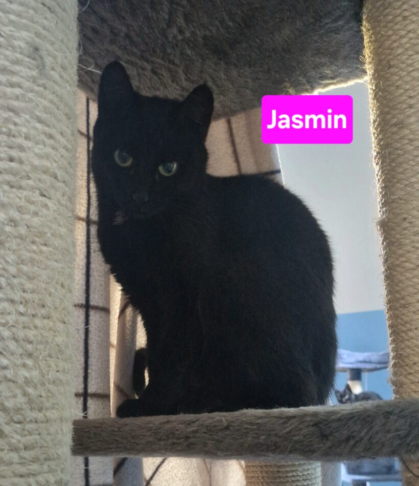 Jasmin und Jula❤️