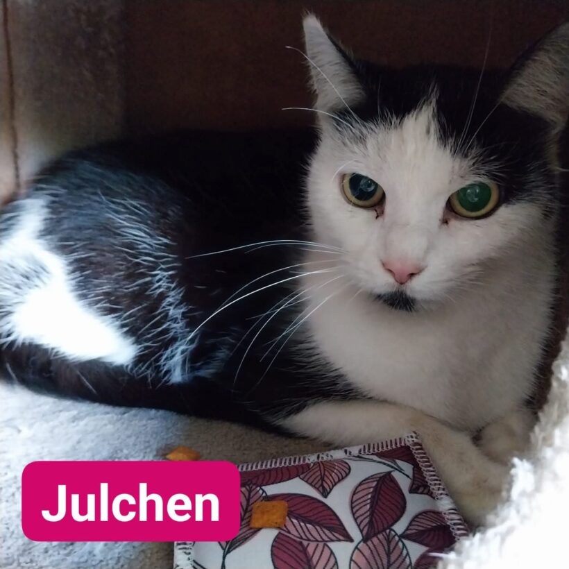 Julchen❤️