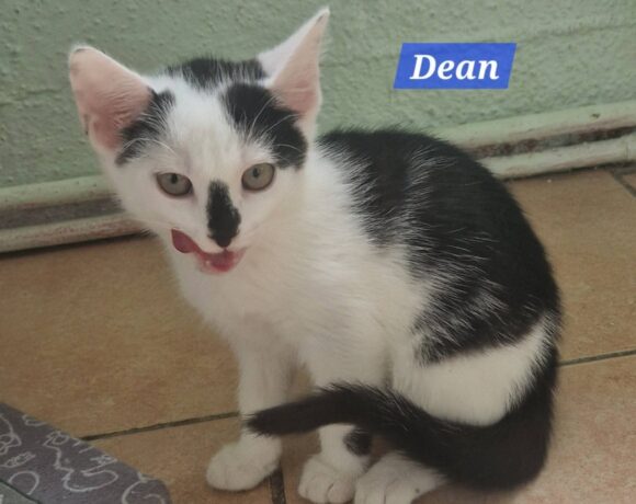 Dotty und Dean❤️