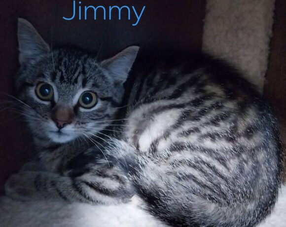 Jimmy und Joe❤️