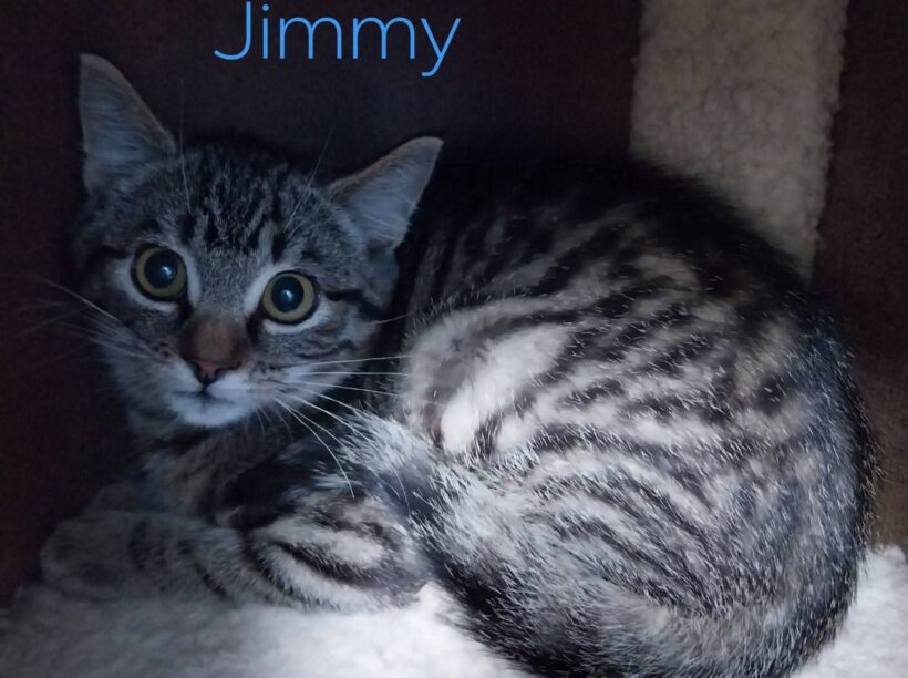 Jimmy und Joe❤️ Jimmy und Joe❤️