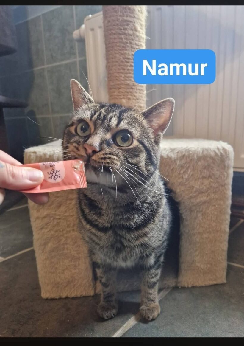Black und Namur❤️ Black und Namur❤️