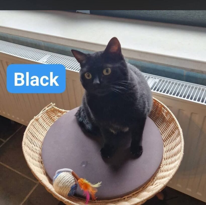 Black und Namur❤️ Black und Namur❤️