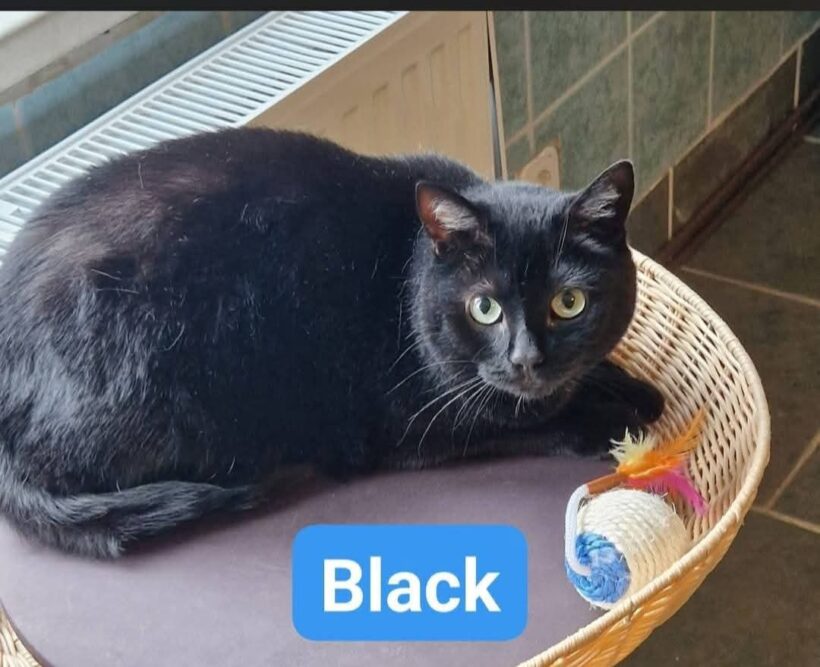 Black und Namur❤️ Black und Namur❤️