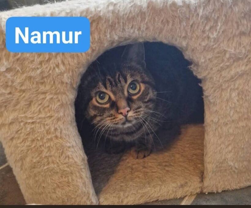 Black und Namur❤️ Black und Namur❤️