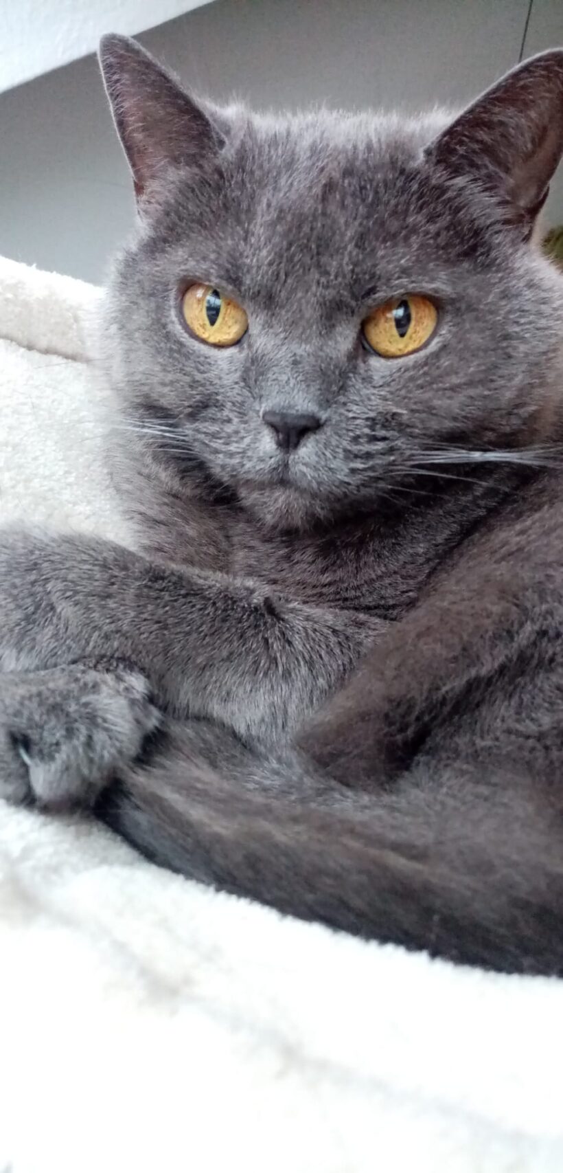 Benny❤️