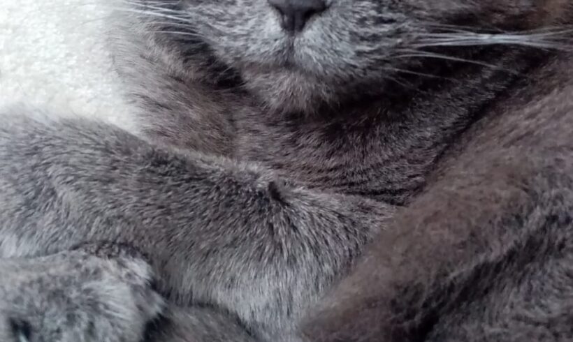 Benny❤️