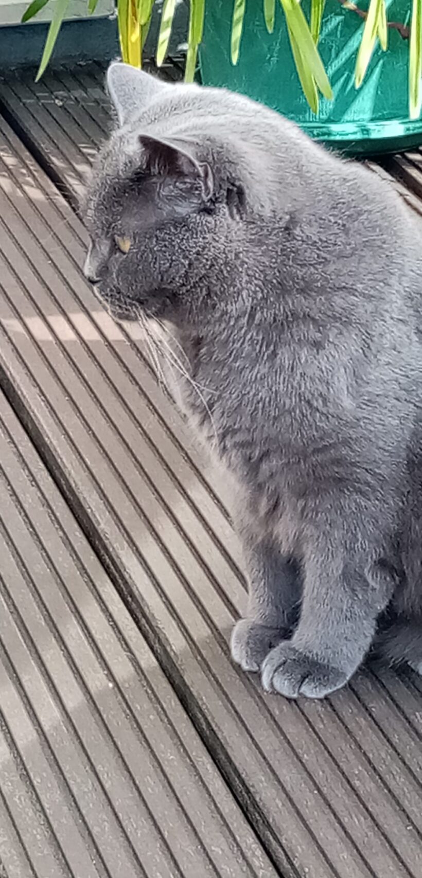 Benny❤️